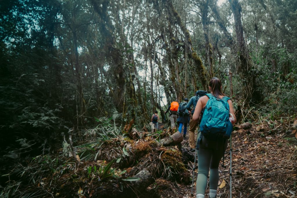 Discovering The Cloud Forest: The Inca Jungle Route