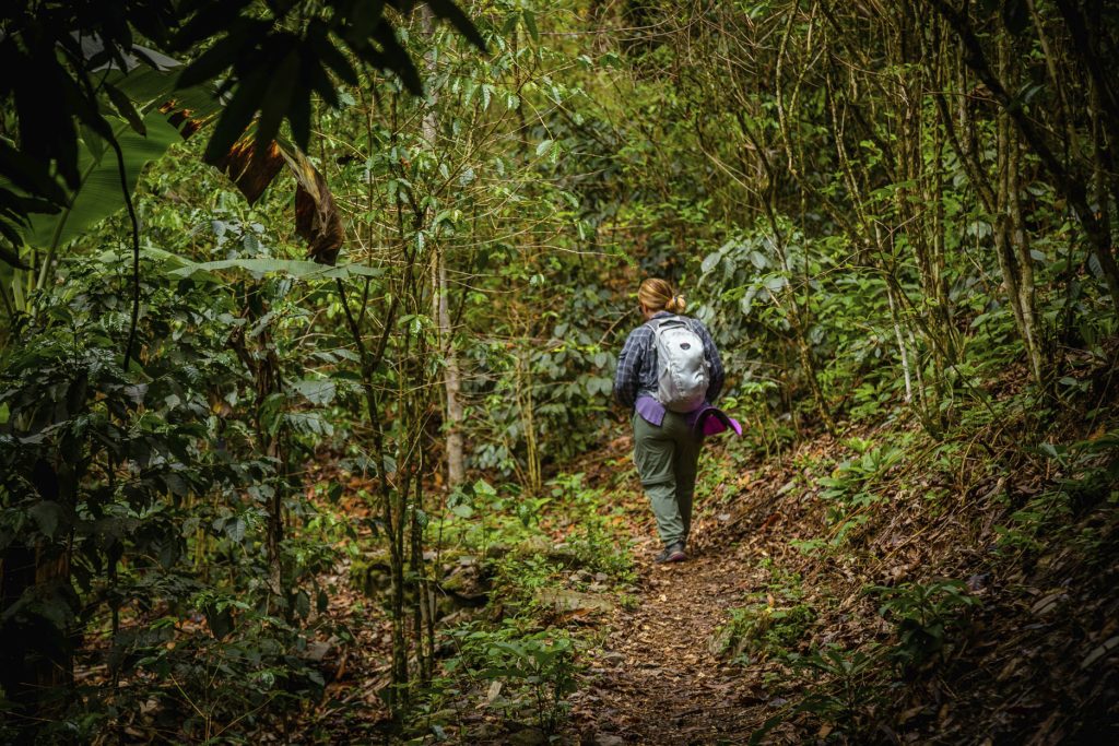 The Amazon Exploring: Inca Jungle Trek
