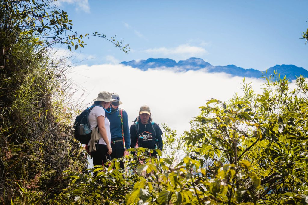 inca-jungle-trek-high-jungle