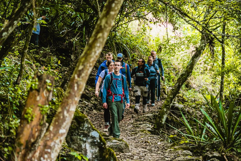 Trekking group walking through the jungle on the Inca Jungle Trek