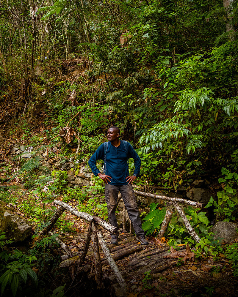 Trekker on bridge in the Inca Jungle Trek