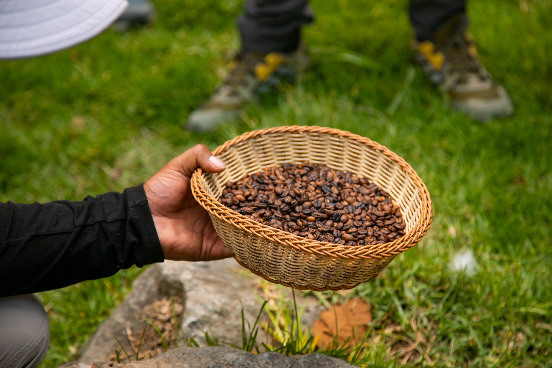 The Coffee, Cacao, And Banana Belt: Understanding The Culinary Heart Of The Inca Jungle