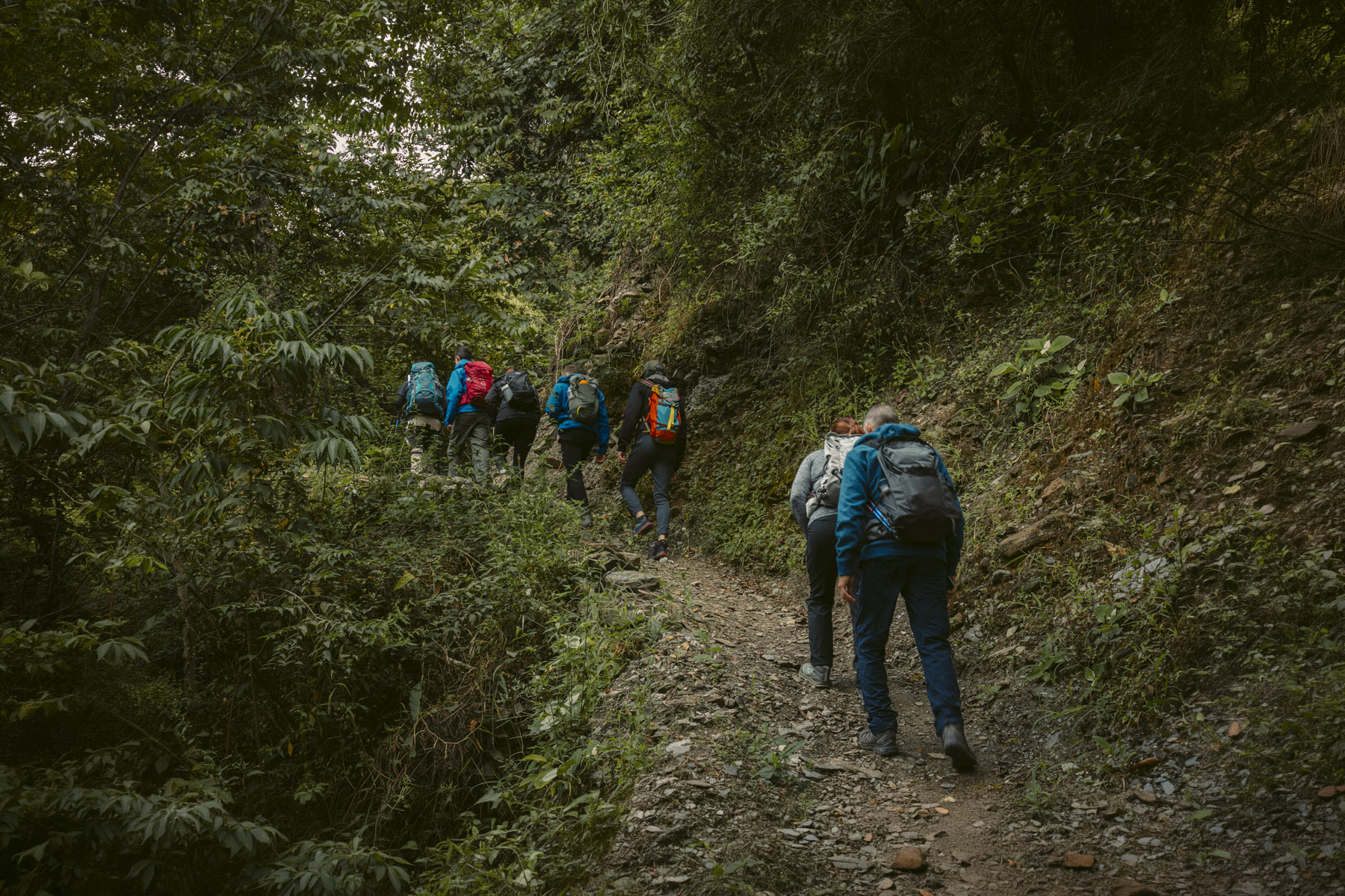 Group hiking on the Inca Jungle Trek