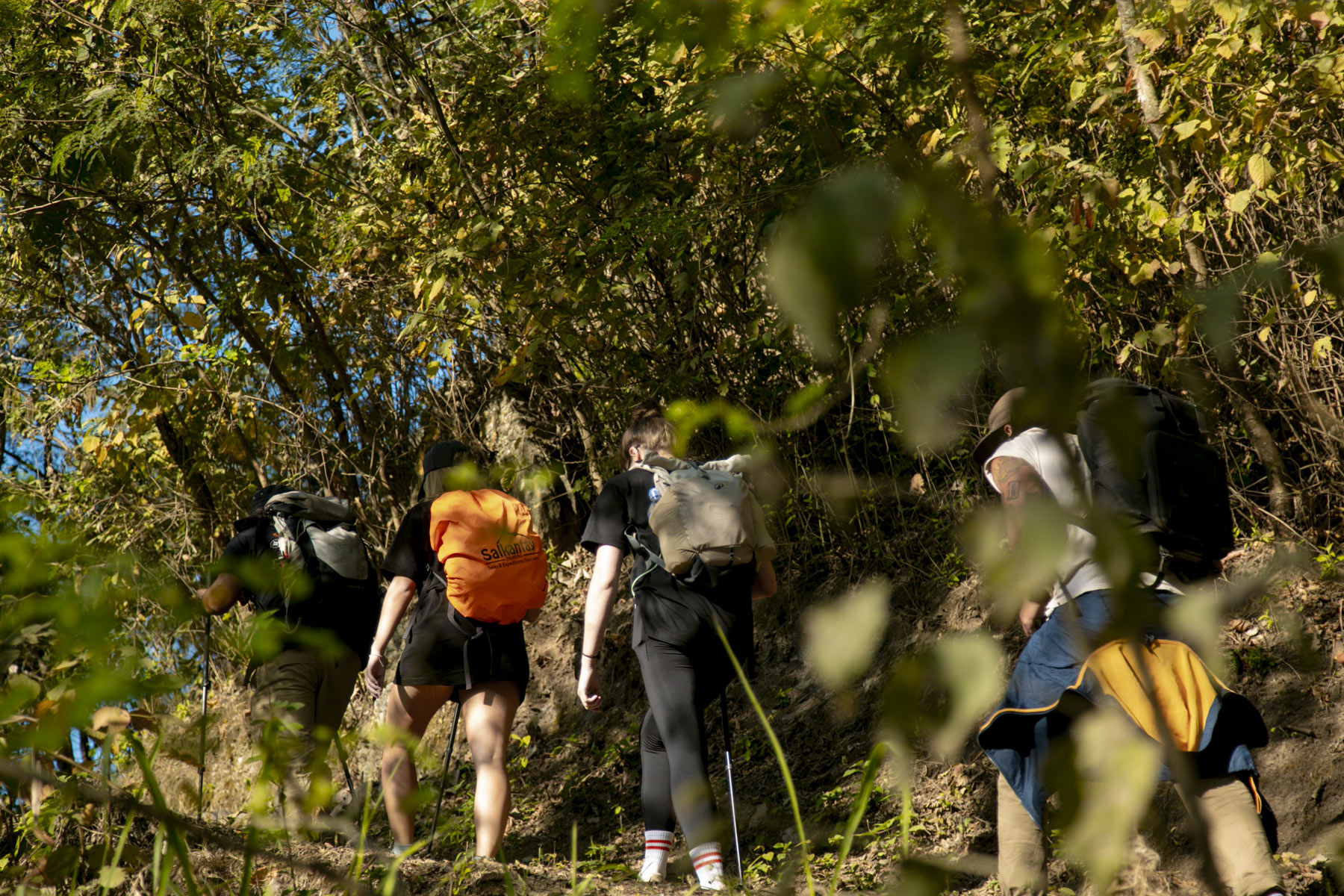 What The Jungle Teaches You About Courage, Freedom, And Living Fully On The Inca Jungle Trek