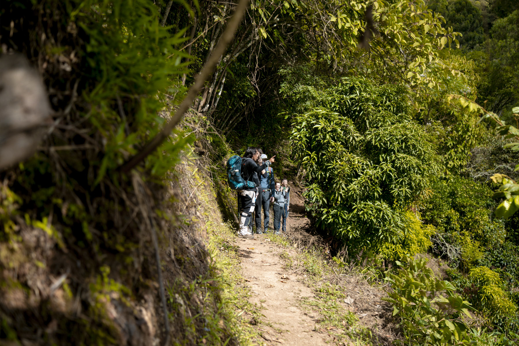 Adventure & Mindfulness: The Unexpected Therapy Of The Inca Jungle Trail