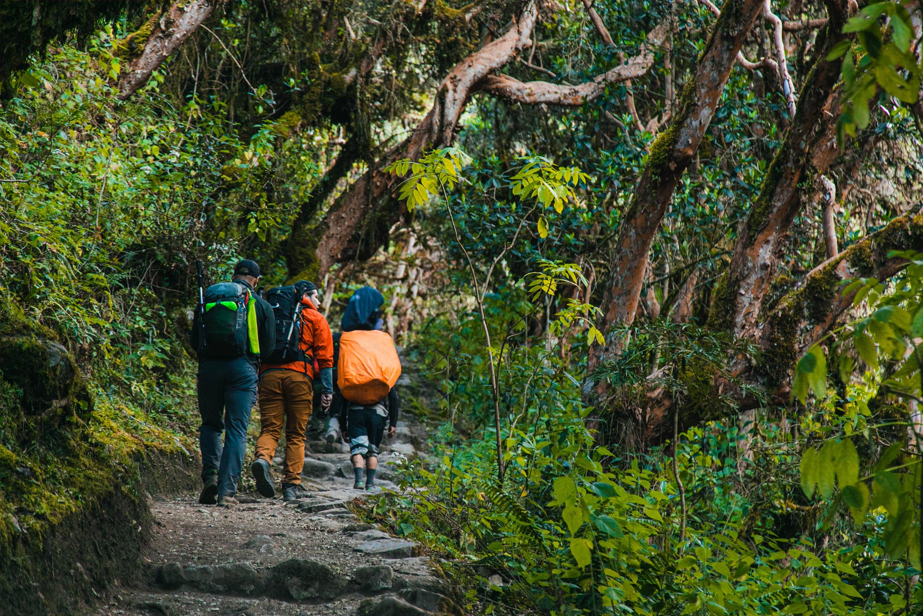 FAQs - Frequently Asked Questions | Inca Jungle - Adventure Specialists.