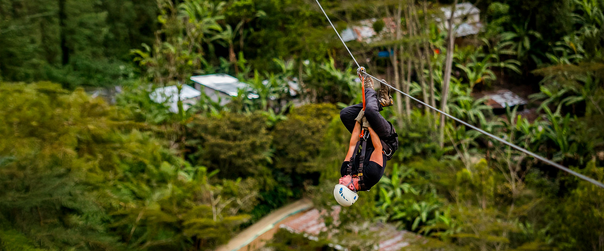 Inca Jungle to Machu Picchu 