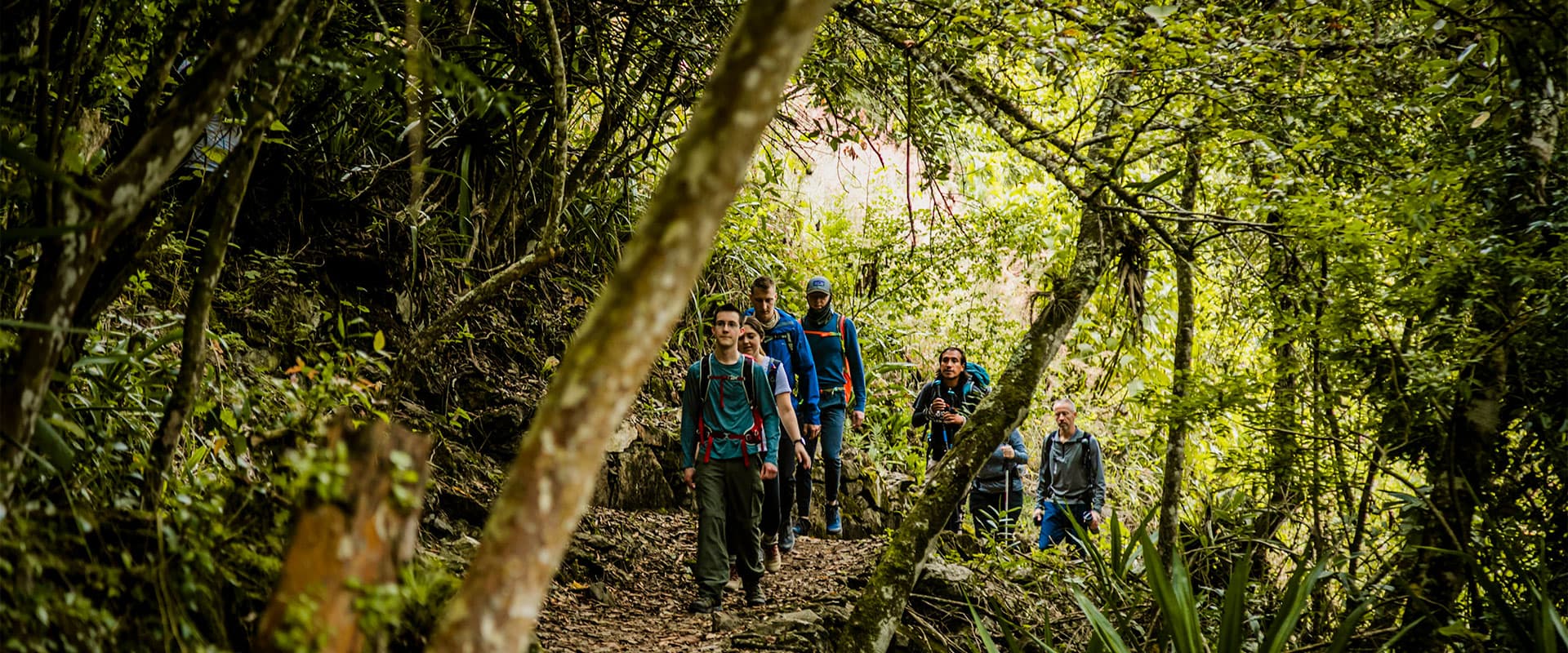 Inca Jungle Group 