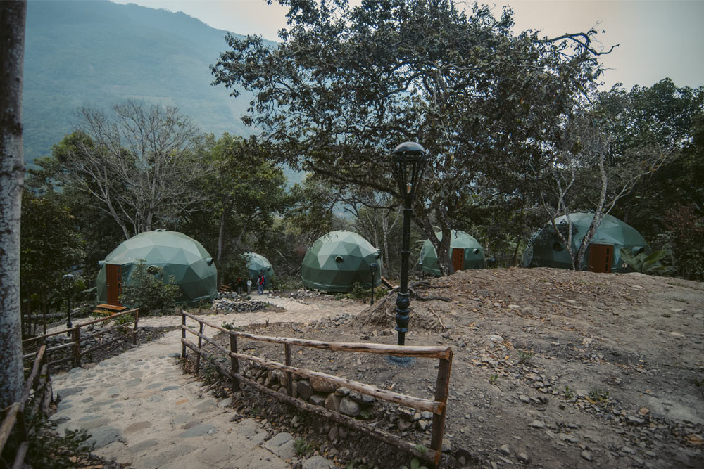 Super Jungle Domes